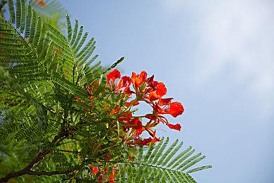 《超级马里奥：惊奇》1.0.1补丁上线 改善游戏体验